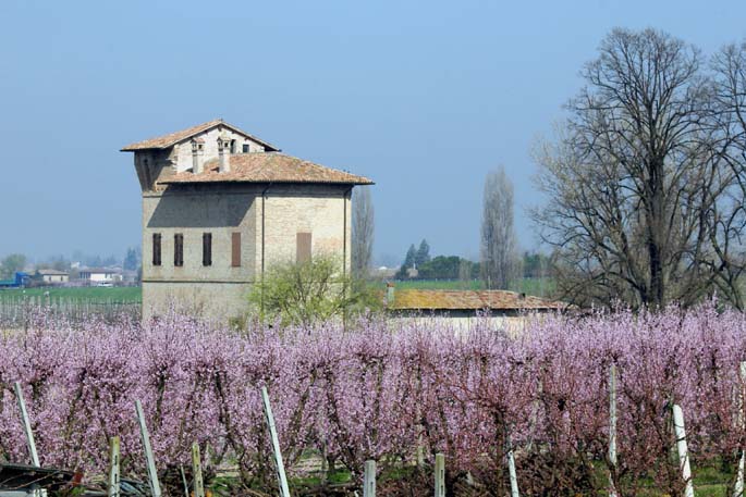 traversara primavera in fiore