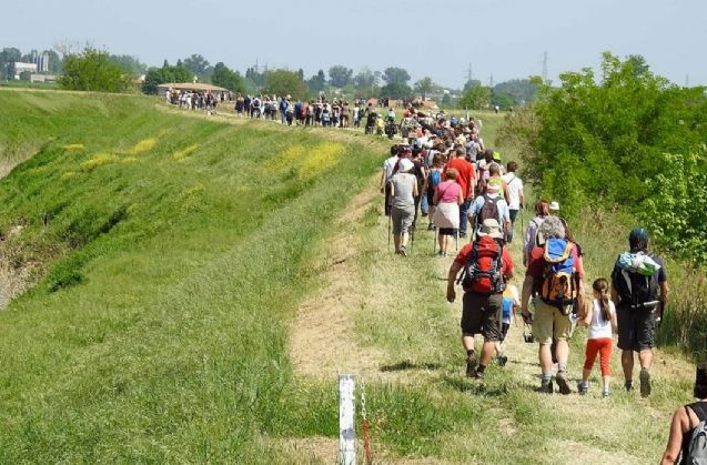 Alfonsine_Cotignola_Nel Senio della memoria - 2016 (3)
