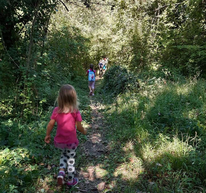 Giornata Nazionale degli alberi