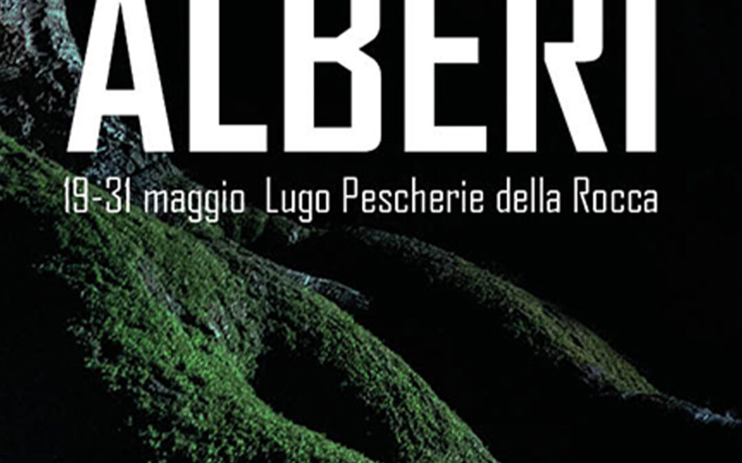 Mostre alle Pescherie della Rocca