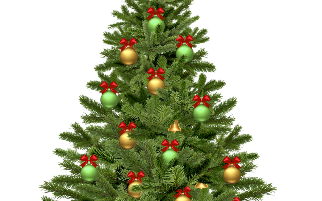 Mercatini, spettacoli e animazioni di Natale